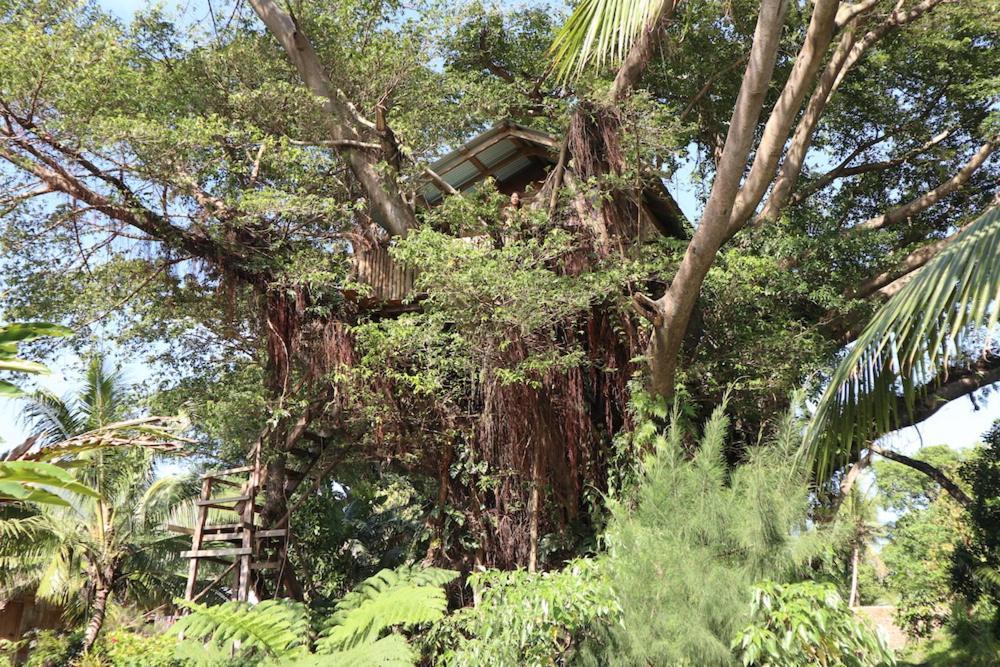 Castle Tree House And Bungalow White Sands Εξωτερικό φωτογραφία