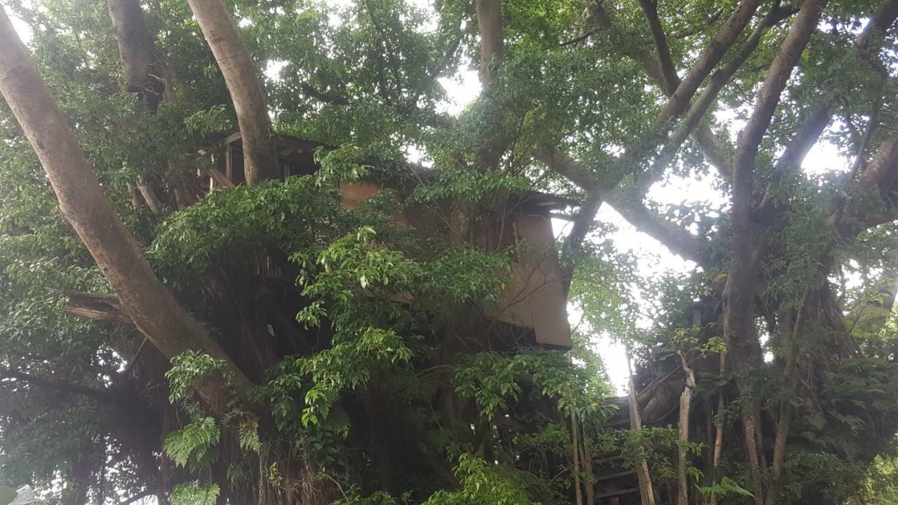 Castle Tree House And Bungalow White Sands Εξωτερικό φωτογραφία