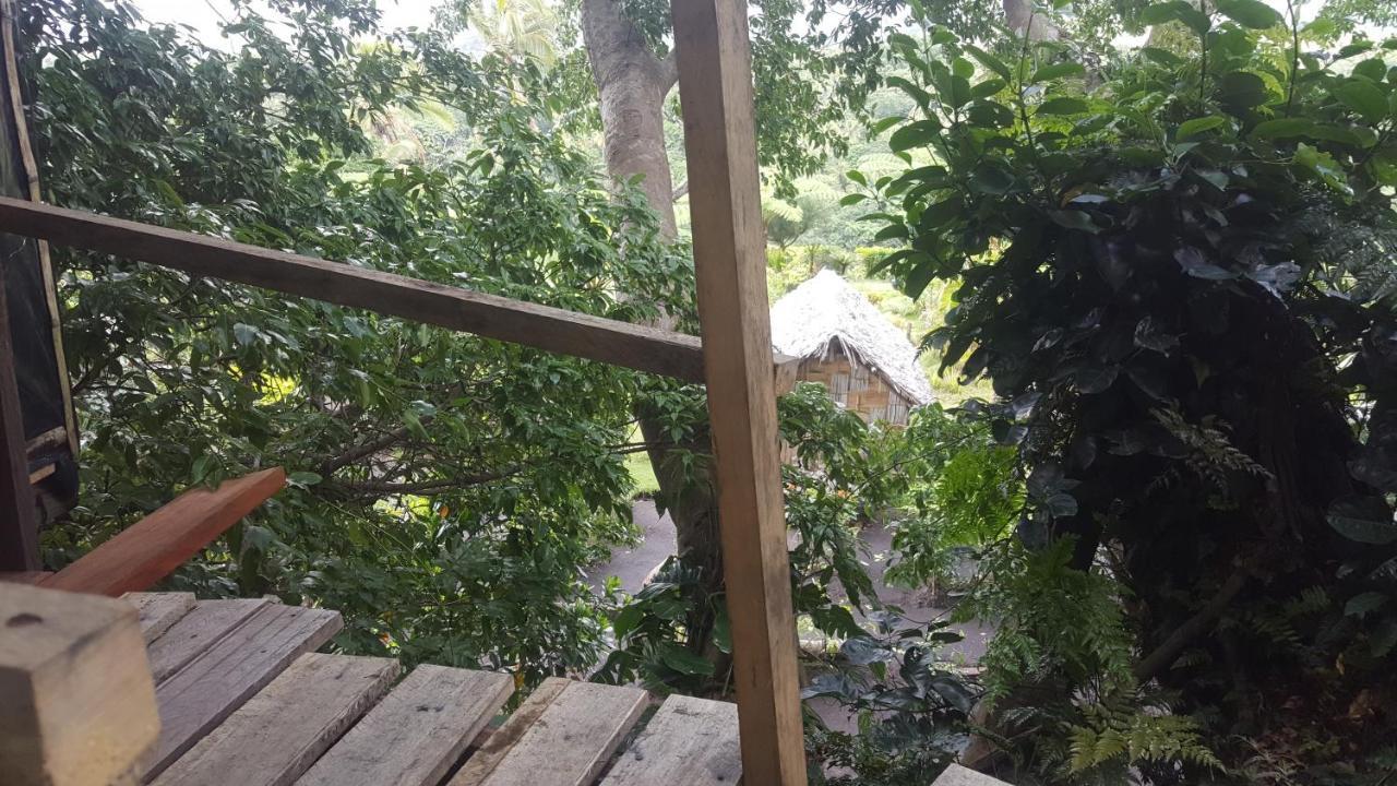 Castle Tree House And Bungalow White Sands Εξωτερικό φωτογραφία